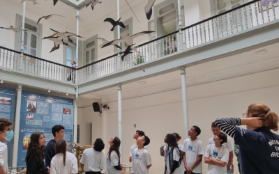 História e aprendizado: participantes do IRS conhecem o Museu da Marinha em passeio cultural